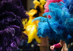 carnaval feathers